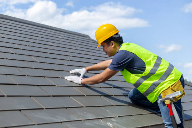 Best Residential Roofing Contractor  in Demopolis, AL