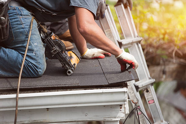 Best Roof Maintenance Services  in Demopolis, AL