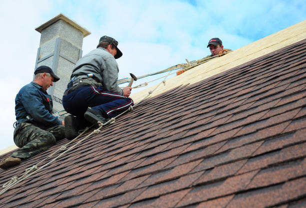 Best Gutter Installation and Roofing  in Demopolis, AL